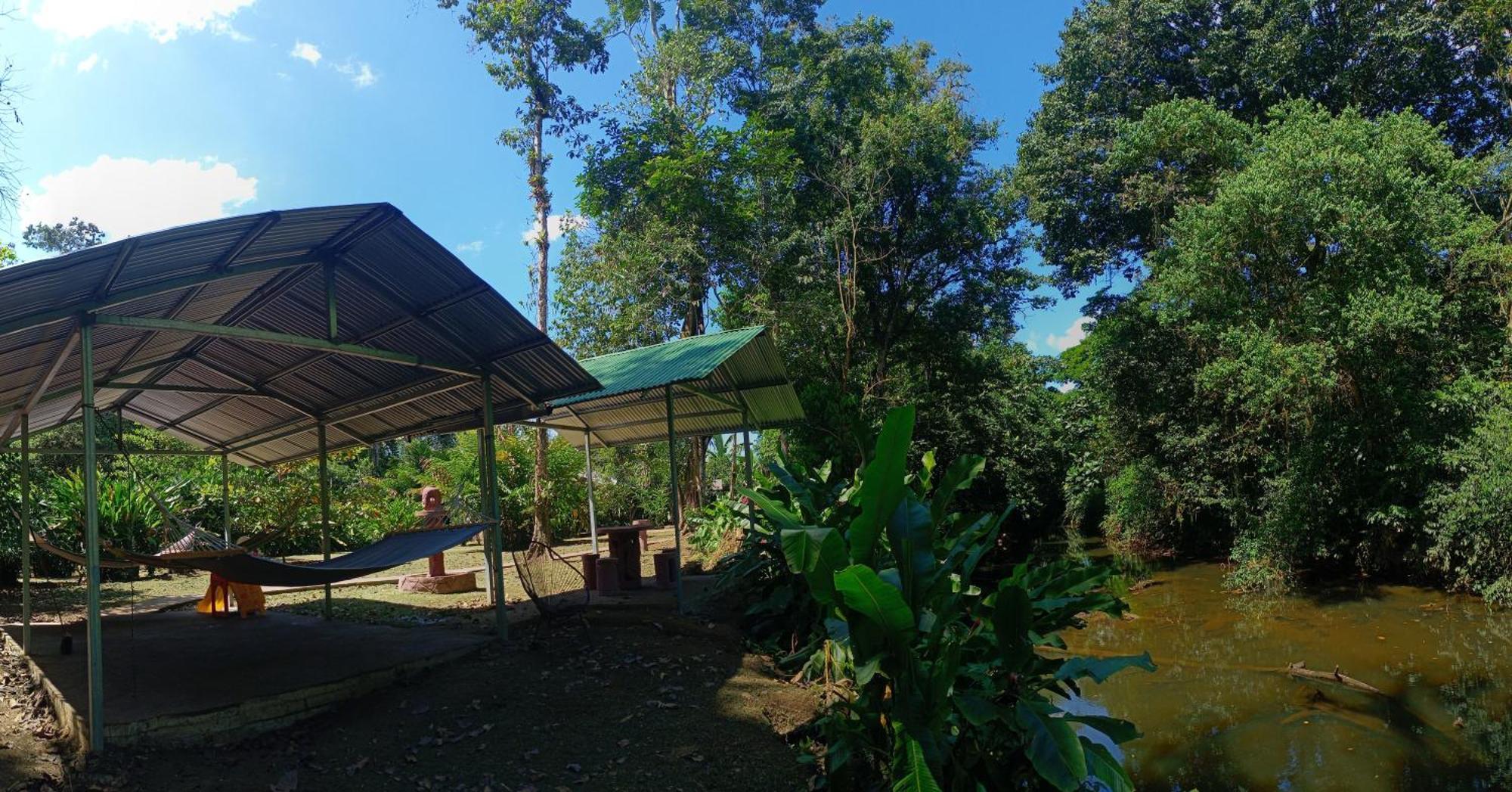 Finca La Paz - Sarapiqui Puerto Viejo de Sarapiqui Extérieur photo