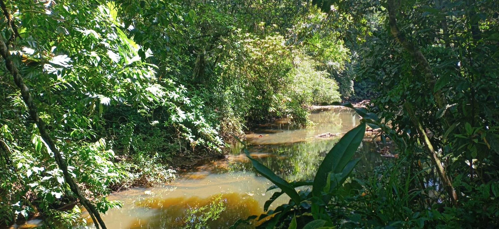 Finca La Paz - Sarapiqui Puerto Viejo de Sarapiqui Extérieur photo