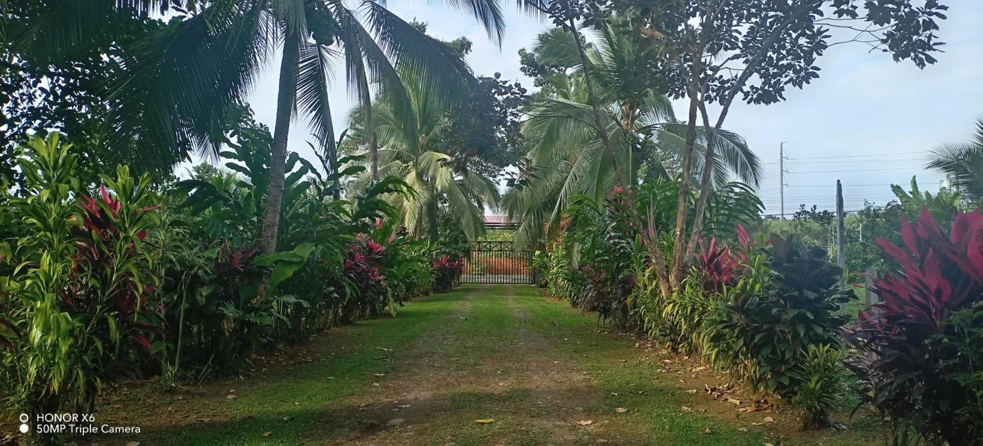 Finca La Paz - Sarapiqui Puerto Viejo de Sarapiqui Extérieur photo